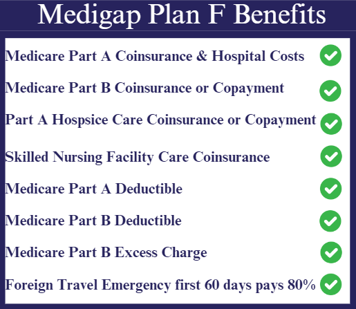 Medigap Plan F covers the 20% not paid by original Medicare 